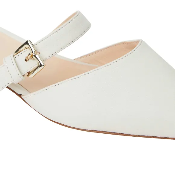 Pasha Mule