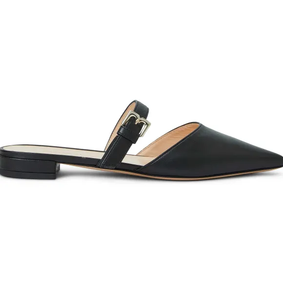 Pasha Mule