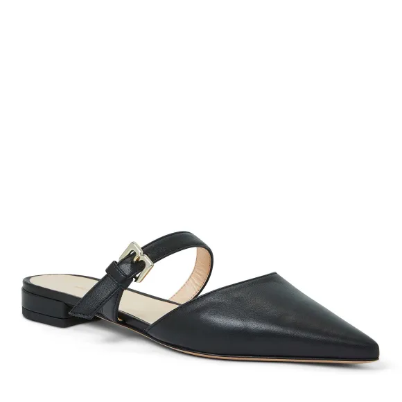 Pasha Mule